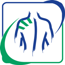 icona-Bendaggio Funzionale Kinesio Taping