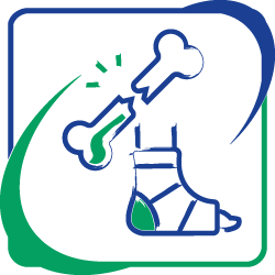 icona-Ortopedia